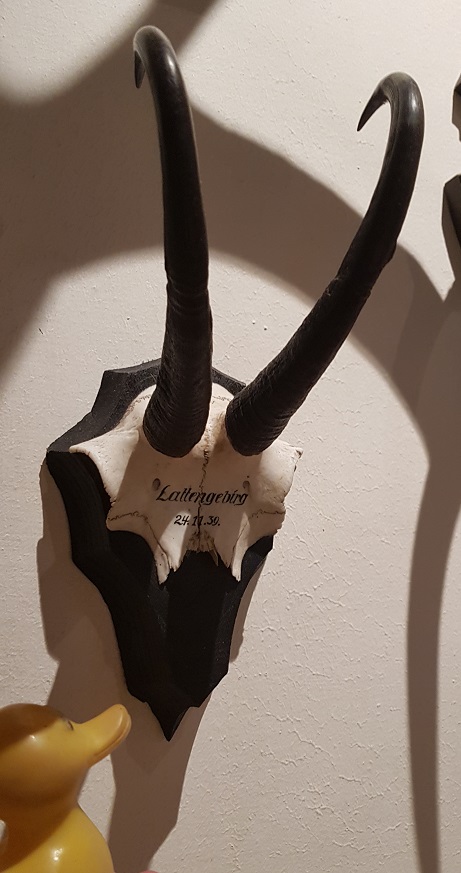 Sheila not Ivanka leaves Wienerschnitzel – duck-links.com